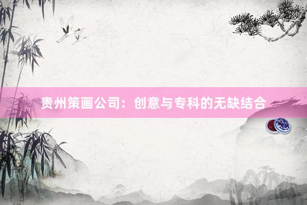贵州策画公司：创意与专科的无缺结合