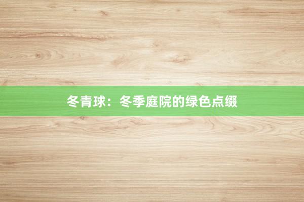 冬青球：冬季庭院的绿色点缀
