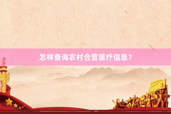 怎样查询农村合营医疗信息？