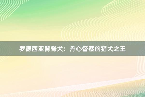 罗德西亚背脊犬:丹心督察的猎犬之王