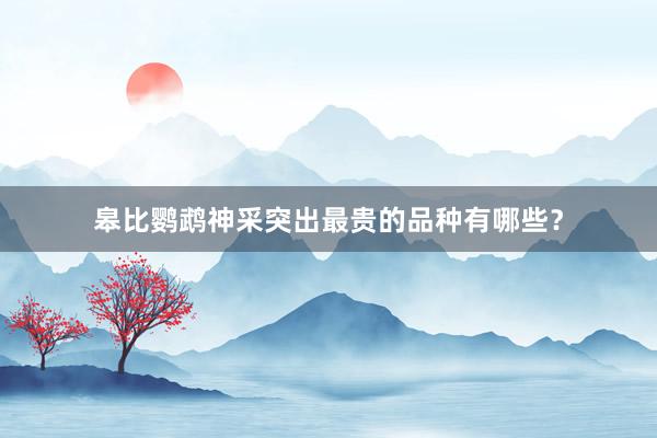 皋比鹦鹉神采突出最贵的品种有哪些?