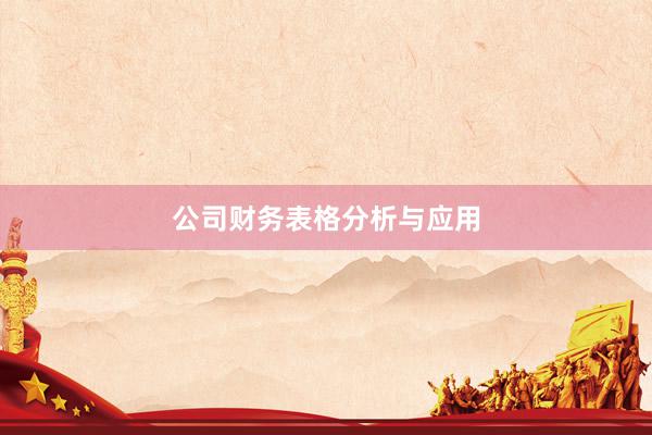 公司财务表格分析与应用